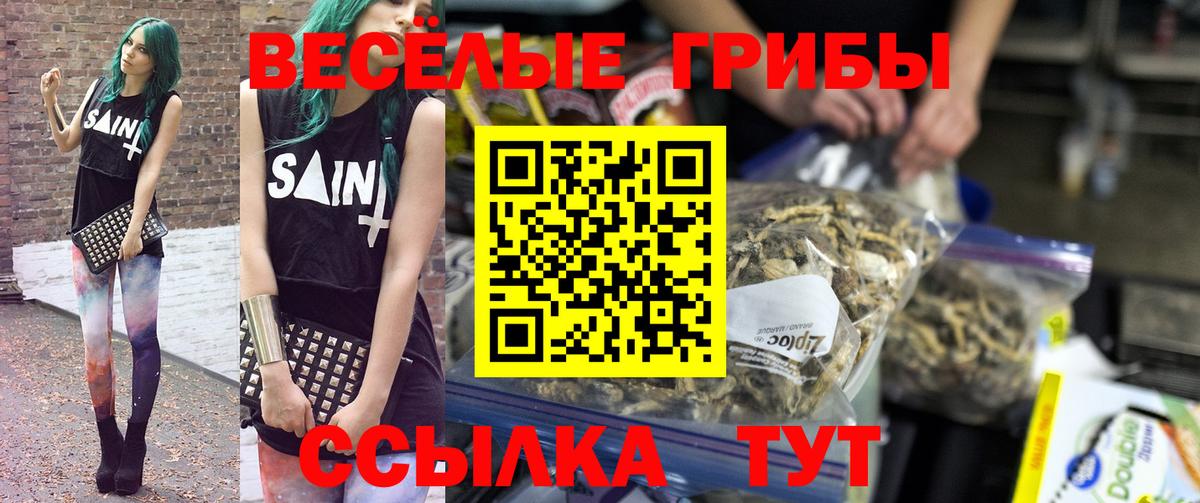 Галлюциногенные грибы Cubensis  Вход с VPN  Иваново 